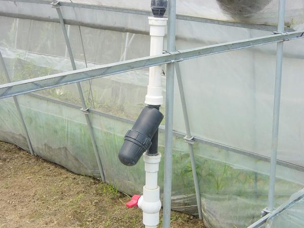 大棚骨架实拍 大棚骨架实拍
